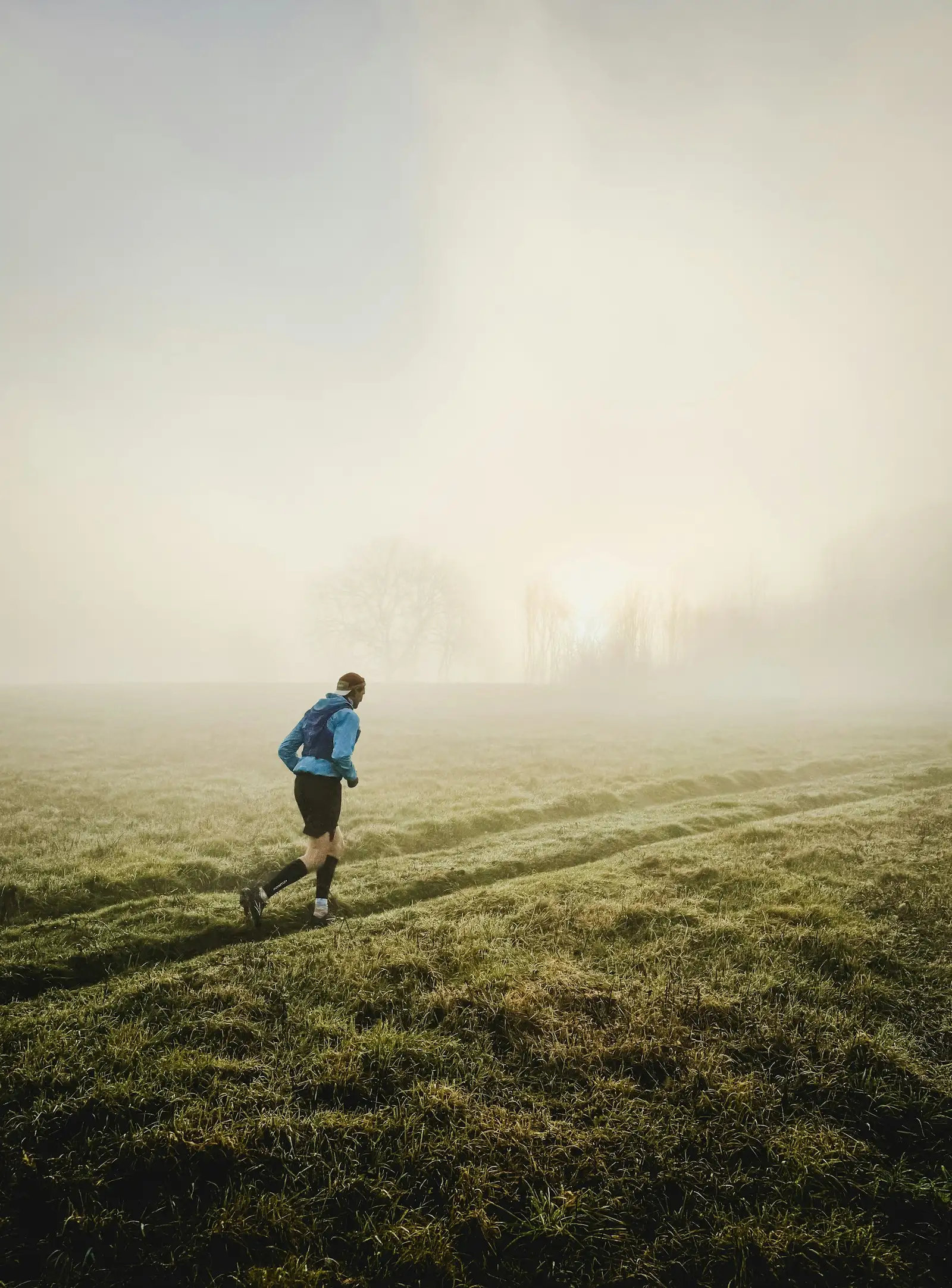 Ein einzelner Läufer in blauer Jacke läuft in einer nebligen, sonnendurchfluteten Wiese im Morgengrauen von der Kamera weg, kahle Bäume verschwimmen im Hintergrund im Nebel.