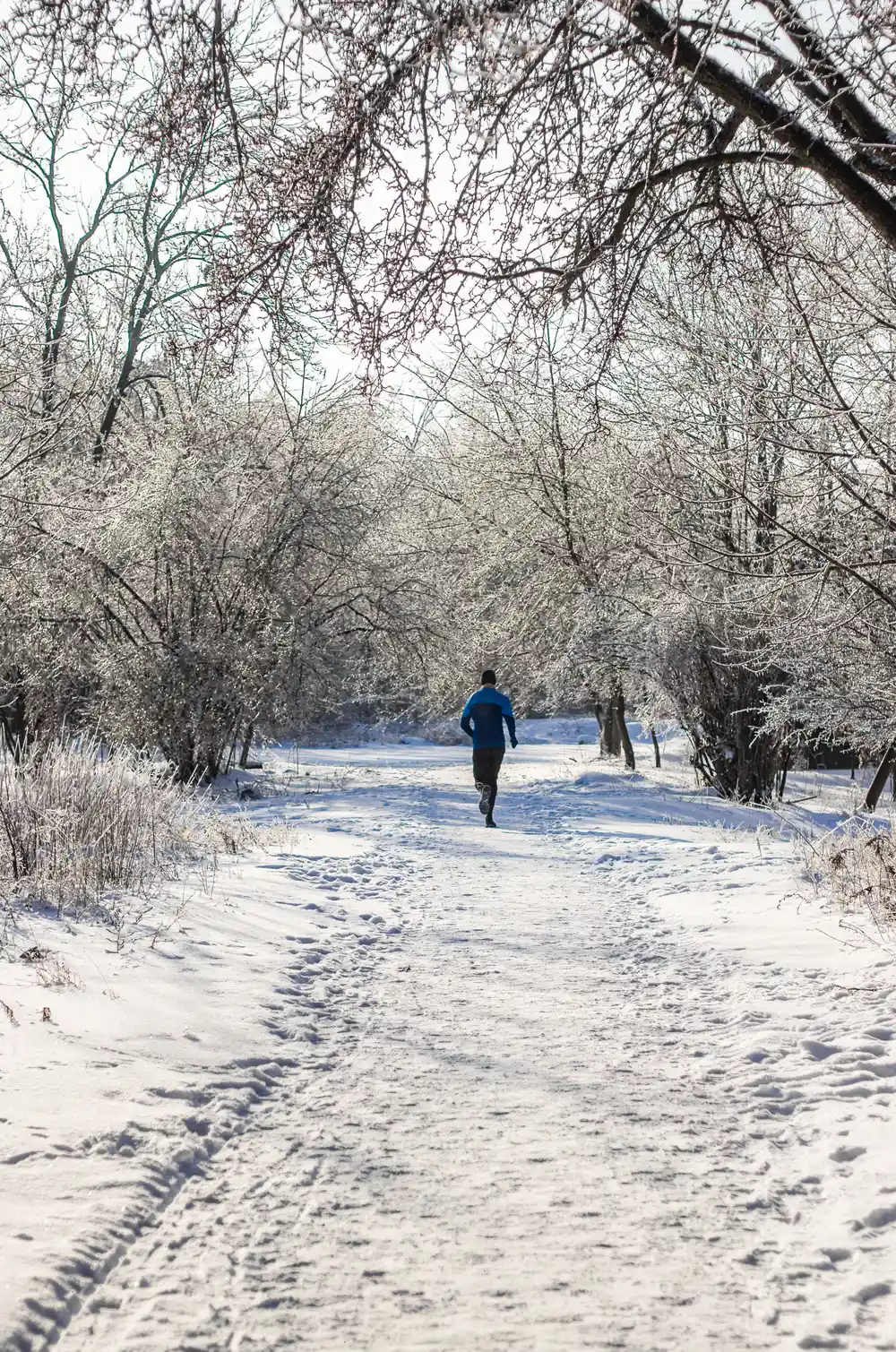 A runner in a blue long-sleeve top and hat runs alone along a snow-covered path lined with frost-covered trees.